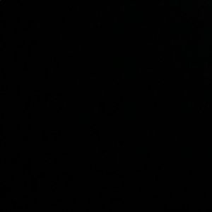 Meet your Posher, Katy